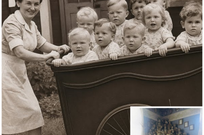 Entire Orphanage Vanished in 1968 — 40 Years Later, a Hidden Room Shocked Investigators…