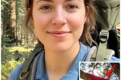 Girl Vanished In Yosemite – 7 Months Later THIS Was Found HANGING ON TREE…