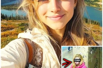 Woman Did Not Return From Camping In Glacier – Later She Was Recognized In The Chicago Subway