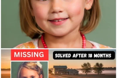 SOLVED: Minnesota Cold Case | Alayna Ertl, Age 5 | Child Vanishes Before Sunrise in Watkins (2016)