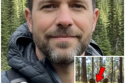 Solo Hiker Vanished In Washington – 3 Months Later was Seen Buried Upside down…