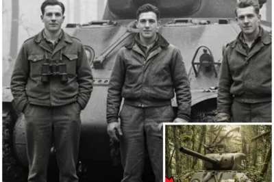 3 Tank Crewmen Vanished In 1944 — 65 Years Later, Their Vehicle Was Found Almost Intact…