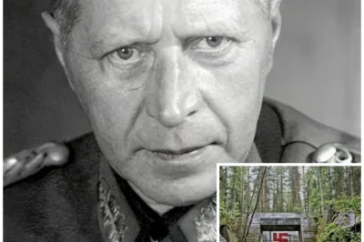 German General Vanished in 1945 — 80 Years Later His Hidden Forest Bunker Was Discovered by Accident
