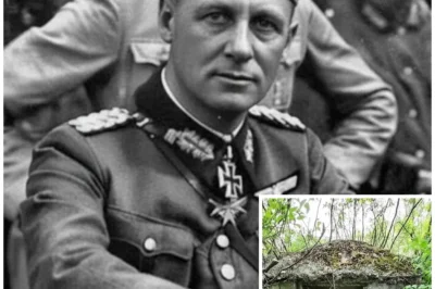 German Colonel Vanished Without A Trace — 80 Years Later, His Hideout Was Found Hidden In The Woods