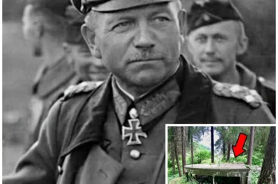 German General Vanished After WWII — 77 Years Later, His Secret Estate Was Found Hidden In Austria