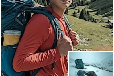Teen Vanished in the Swiss Alps… 7 Years Later, Climbers Stumbled Upon a Chilling Discovery
