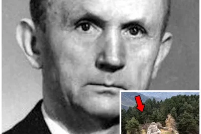 German Admiral Vanished in 1945 — 79 Years Later His Concealed Island Fortress Uncovered by Hikers