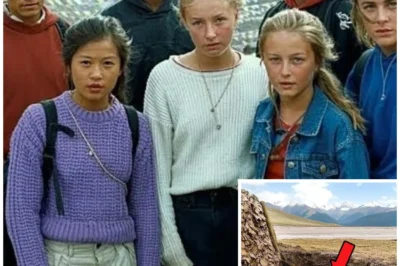 Seven Kids Vanished on a mountain in Tibet, nine years later one came back and revealed…