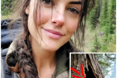 Girl Vanished In Montana – 4 Years Later Her Body Was Found Sealed Inside A Dead Tree