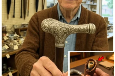 Grandpa Bought Old Walking Stick, Handle Snapped and Revealed a 50-Year Secret!