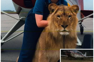 Woman Vanished in Her Plane in 1988 – 20 Years Later, Investigators Made a Chilling Discovery…