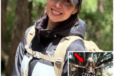 A Ranger Finds a HANGING SCARECROW in the WOODS and REVEALS the Secret of the Missing Tourist…