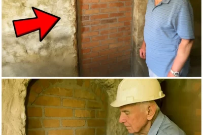 Man Broke Down Door in Cellar After 60 Years, Inside Made Him Call 911!