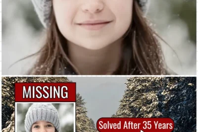 Michigan 1996 Cold Case Solved — arrest shocks community