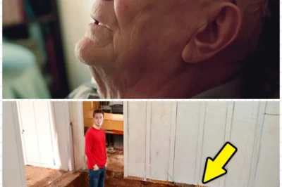 Dying Farmer’s Final Words Were ‘Never Touch the Floor’—When Grandson Finally Did, He Understood Why
