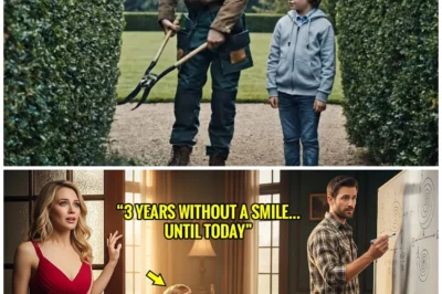 The Billionaire Caught Her Gardener Teaching Advanced Math — He Wasn’t Who She Thought