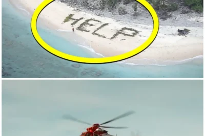 They Responded to Recent SOS Signal—But the Survivor Had Been Missing Since She Was 12 yrs