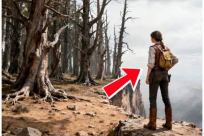 I Inherited a Grove of Dead Trees on a Cliff — They Laughed Until the Roots Broke Through Below