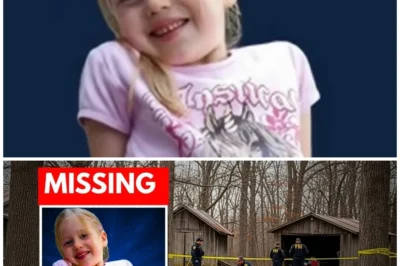 Germany’s Madeleine McCann: The Inga Gehricke Disappearance That Shocked a Nation