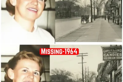 New York Most Brutal Cold Case | Solved After 61 Years by DNA