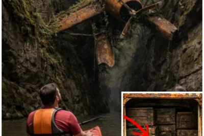 Kayakers Found Vintage Floatplane in Canyon, What Was in the Hold Made Them Call FBI!