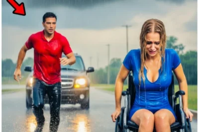 Single dad saves a poor girl abandoned in a wheelchair in the rain—the truth left him stunned